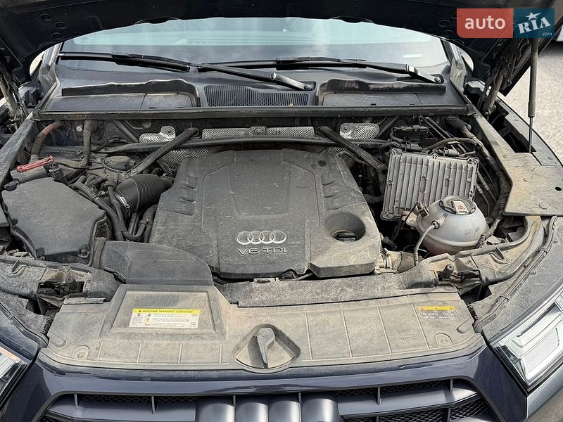 Внедорожник / Кроссовер Audi Q5 2019 в Житомире