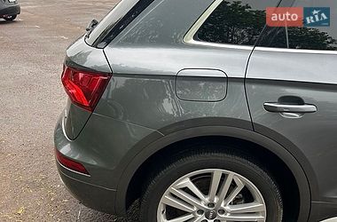 Внедорожник / Кроссовер Audi Q5 2019 в Львове