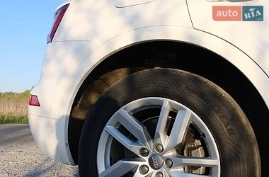 Внедорожник / Кроссовер Audi Q5 2019 в Киеве