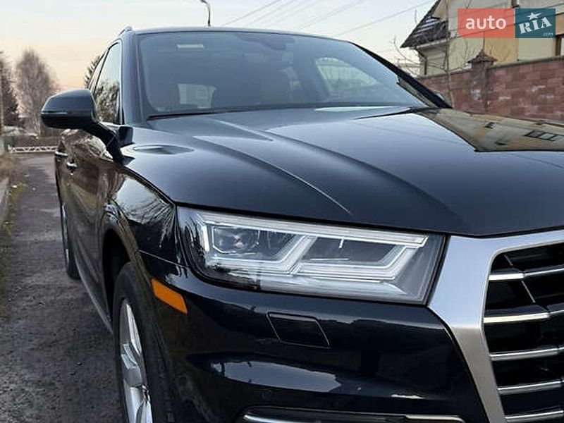 Внедорожник / Кроссовер Audi Q5 2019 в Белой Церкви