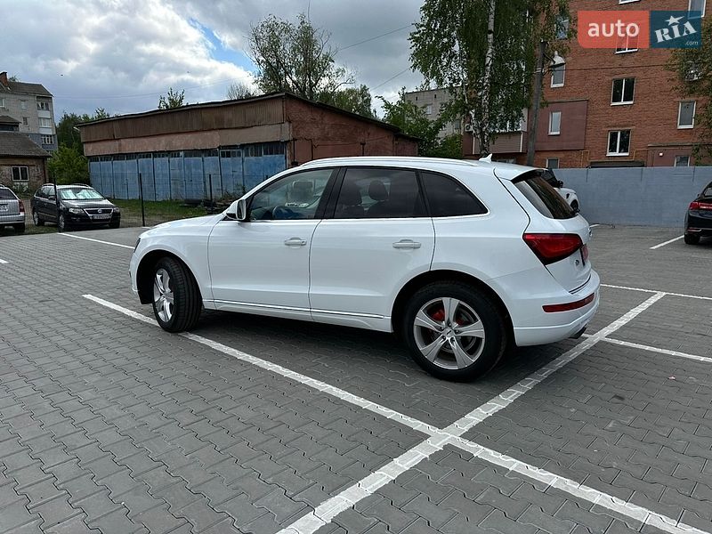 Внедорожник / Кроссовер Audi Q5 2017 в Нежине