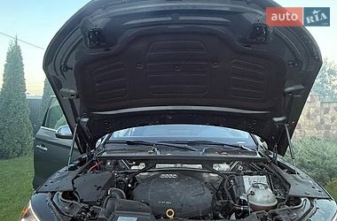 Внедорожник / Кроссовер Audi Q5 2019 в Чорткове