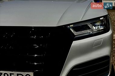 Внедорожник / Кроссовер Audi Q5 2019 в Киеве