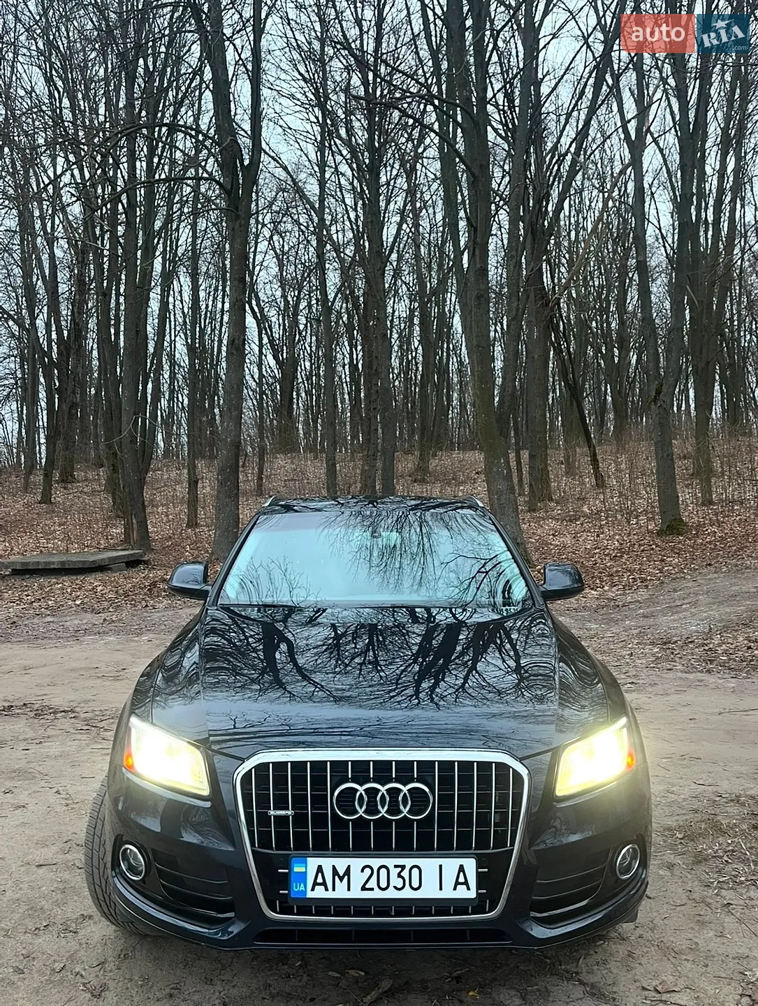 2013 Audi Q5 - мініатюра 2