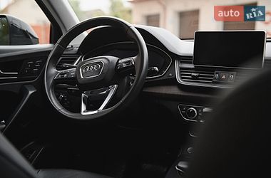 Внедорожник / Кроссовер Audi Q5 2019 в Тернополе