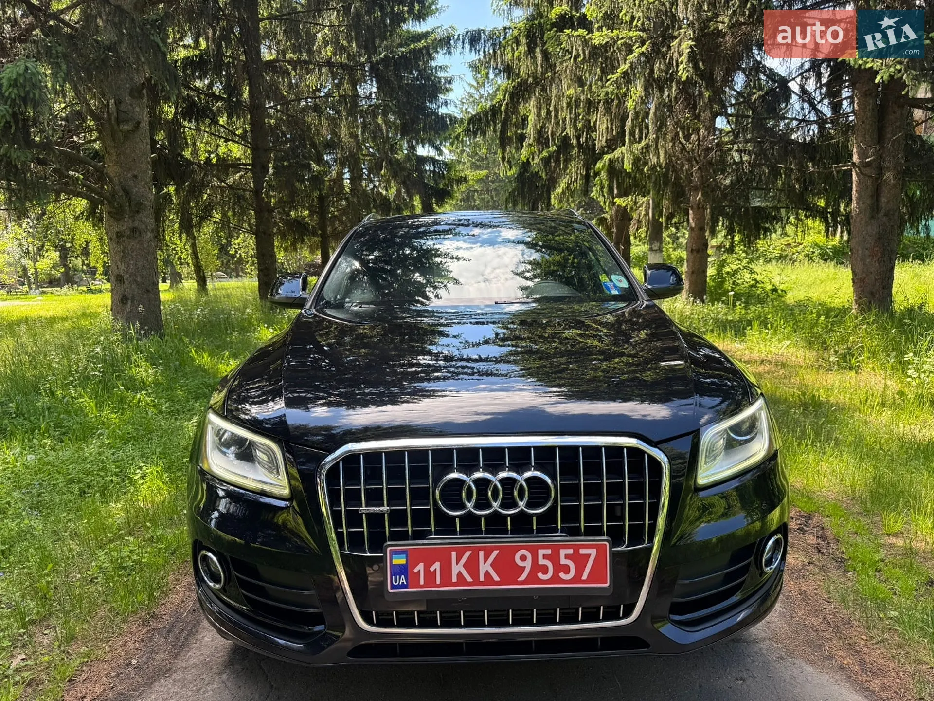 2014 Audi Q5 - мініатюра 2
