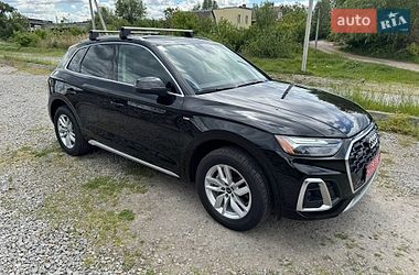 Внедорожник / Кроссовер Audi Q5 2023 в Бердичеве