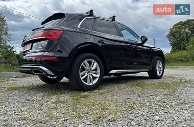 Внедорожник / Кроссовер Audi Q5 2023 в Бердичеве