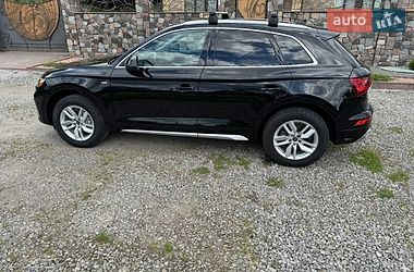 Внедорожник / Кроссовер Audi Q5 2023 в Бердичеве