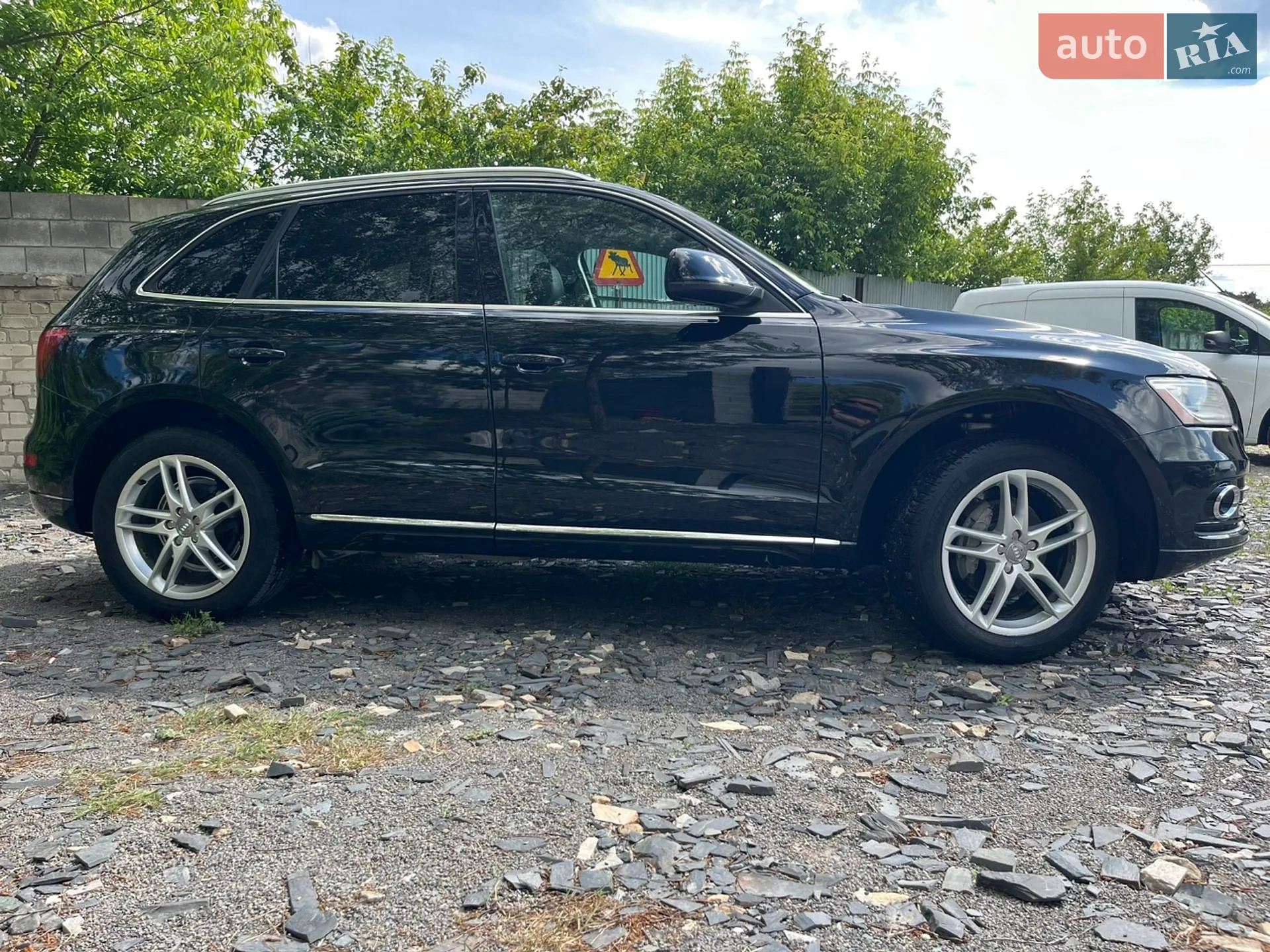 2013 Audi Q5 - мініатюра 3