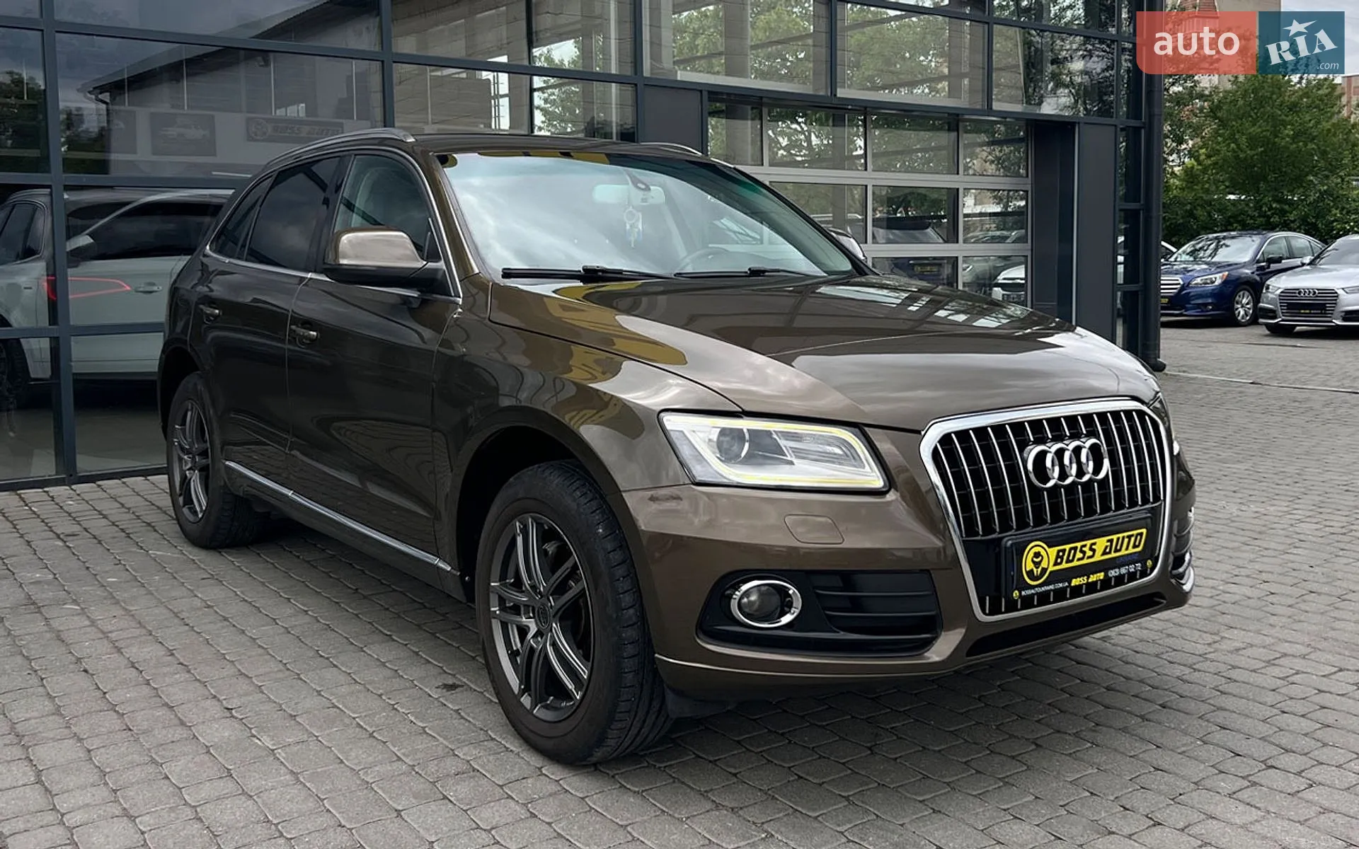 2013 Audi Q5 - фото 1