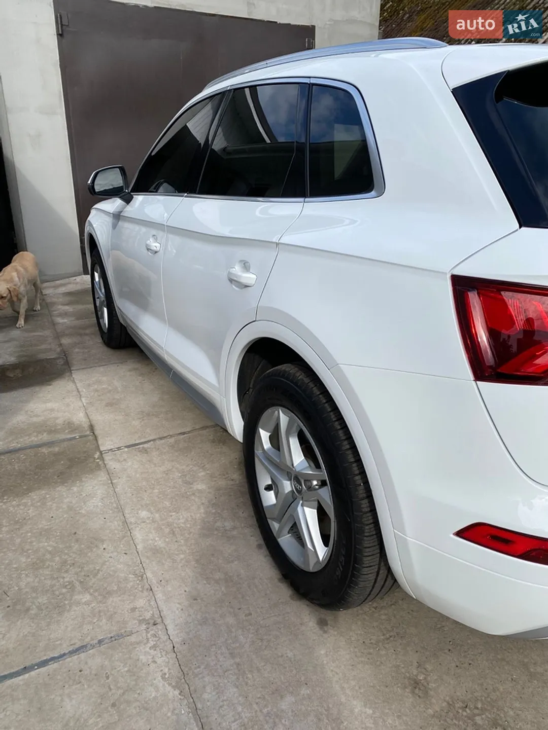 2019 Audi Q5 - мініатюра 12