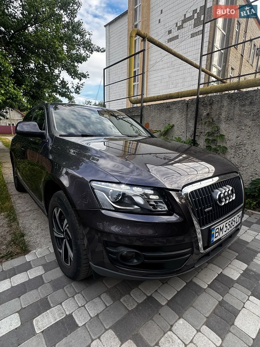 2011 Audi Q5 - мініатюра 2