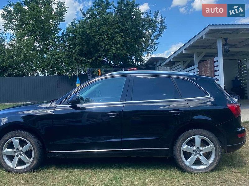 2011 Audi Q5, VIN WA1LFAFP3BA085140:plate — фото 1 (autoria)