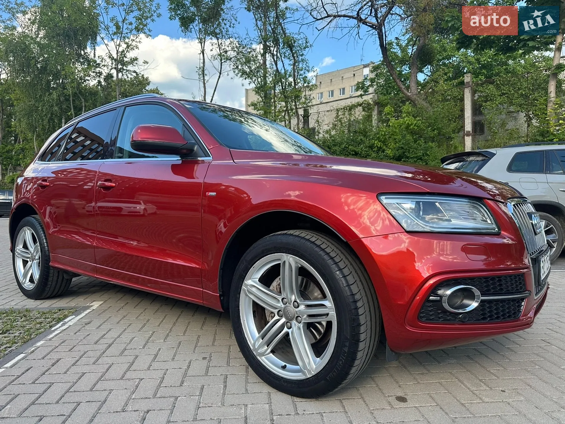 2013 Audi Q5 - фото 1