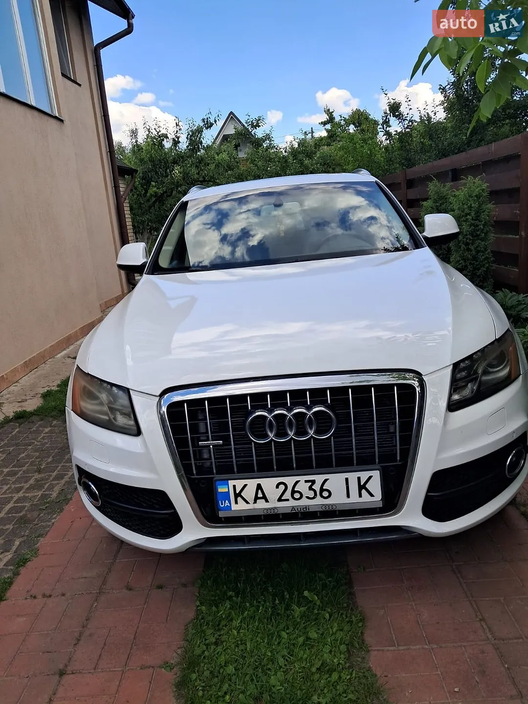 2011 Audi Q5 - мініатюра 4