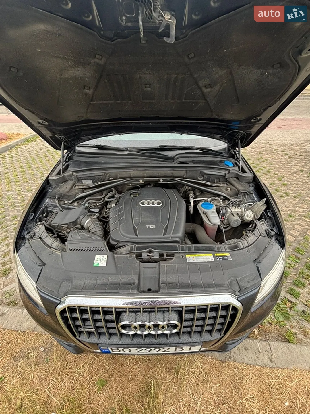 2013 Audi Q5 - мініатюра 19