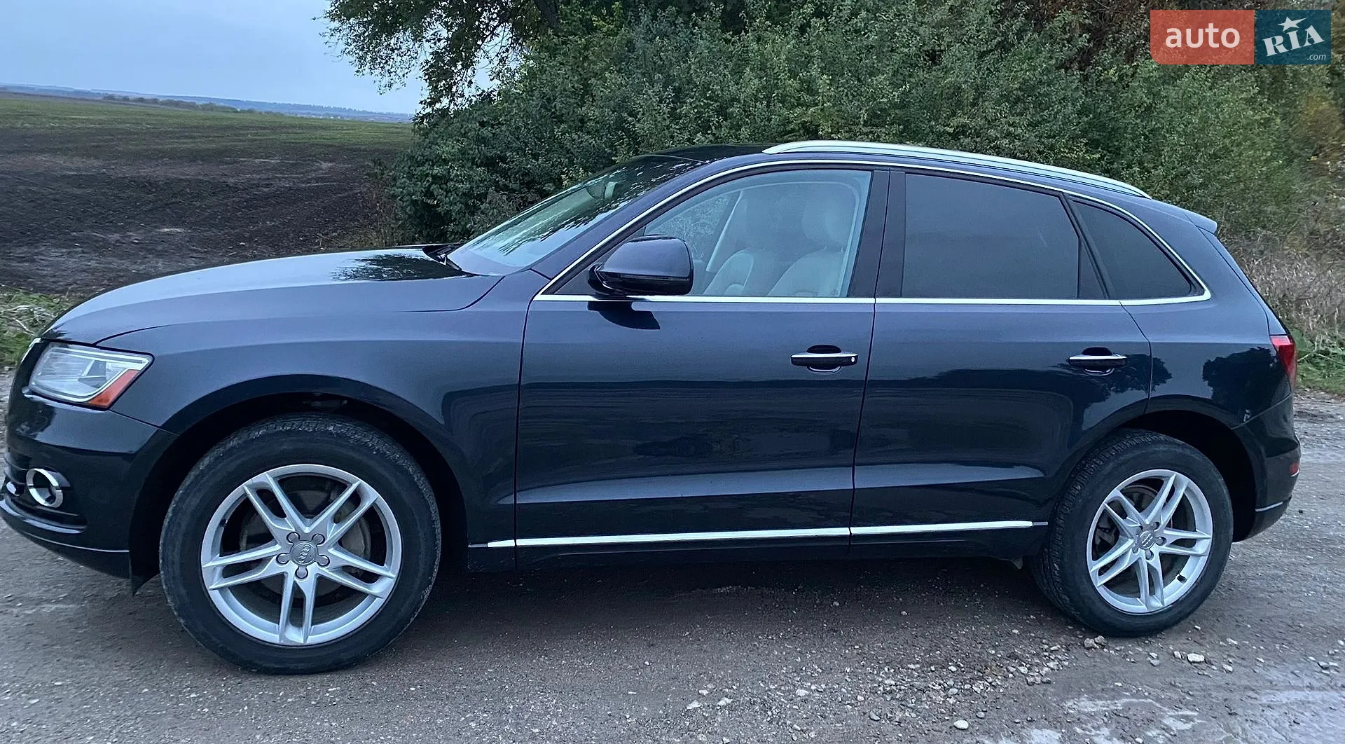 2015 Audi Q5 - мініатюра 10