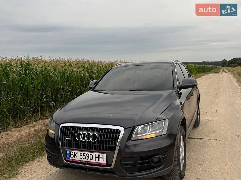 Audi Q5 2010