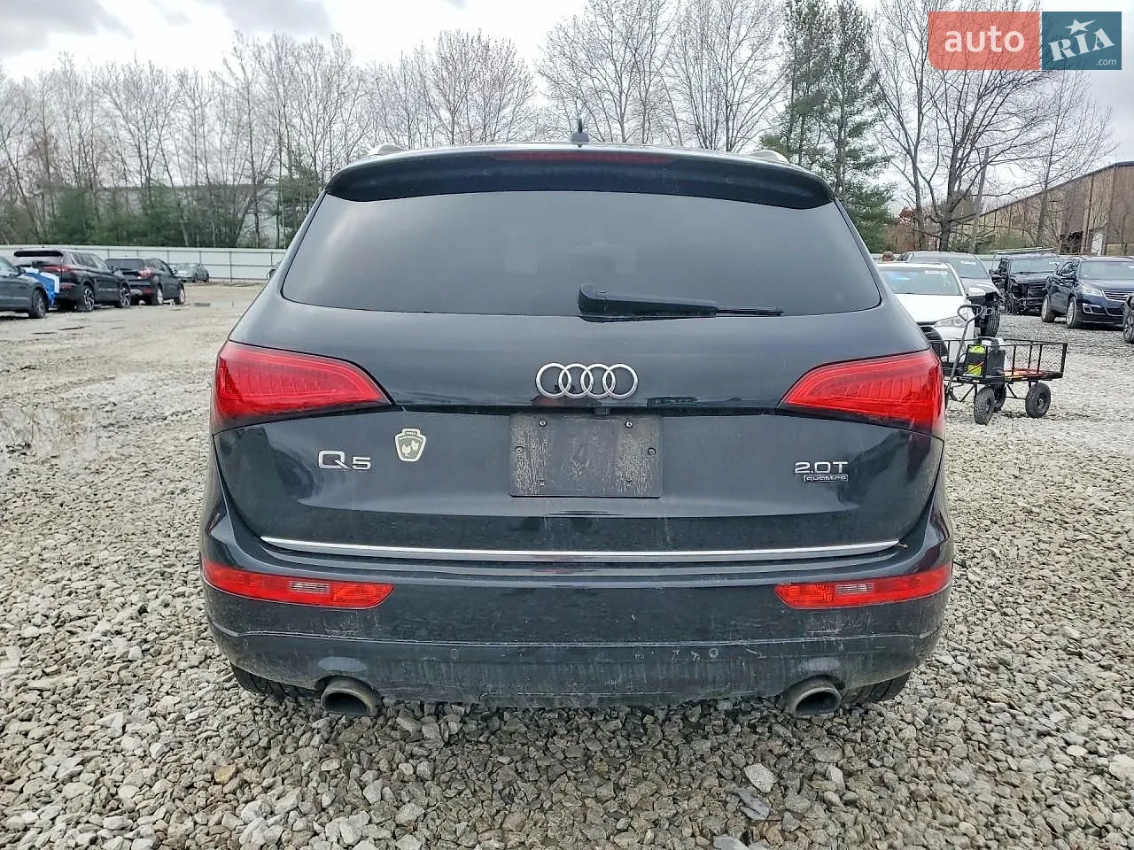 2016 Audi Q5 - мініатюра 6
