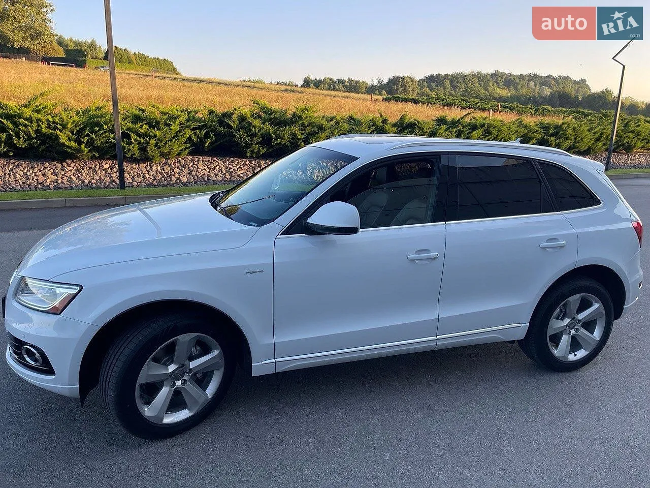 2013 Audi Q5 - мініатюра 4