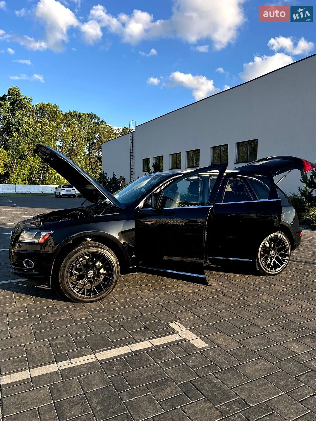 2013 Audi Q5 - мініатюра 12