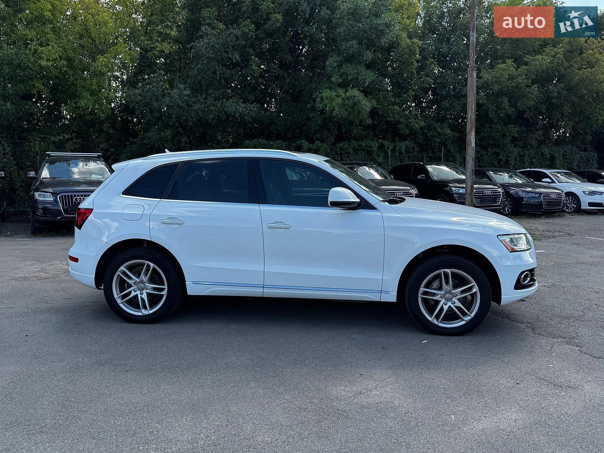 2016 Audi Q5 - мініатюра 6