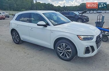 Внедорожник / Кроссовер Audi Q5 2023 в Ивано-Франковске