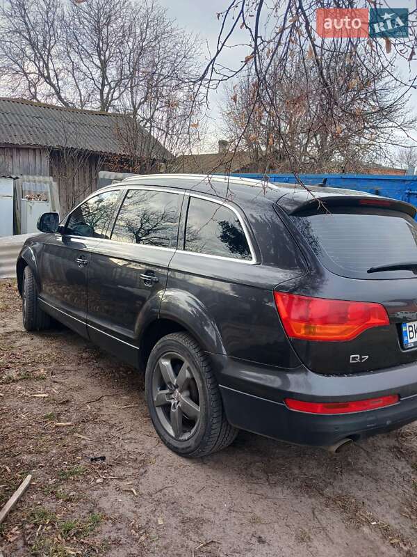 Позашляховик / Кросовер Audi Q7 2007 в Березному