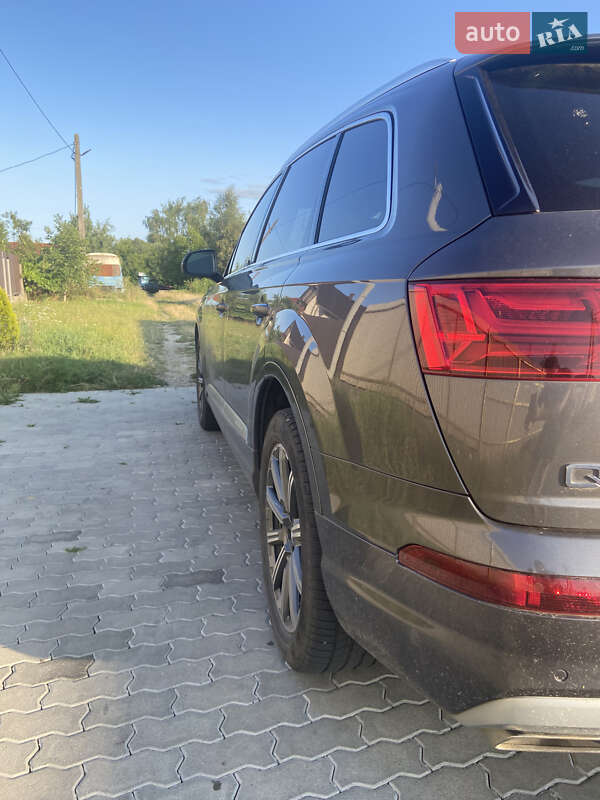 Внедорожник / Кроссовер Audi Q7 2019 в Ужгороде
