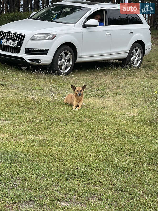 Позашляховик / Кросовер Audi Q7 2013 в Коростені