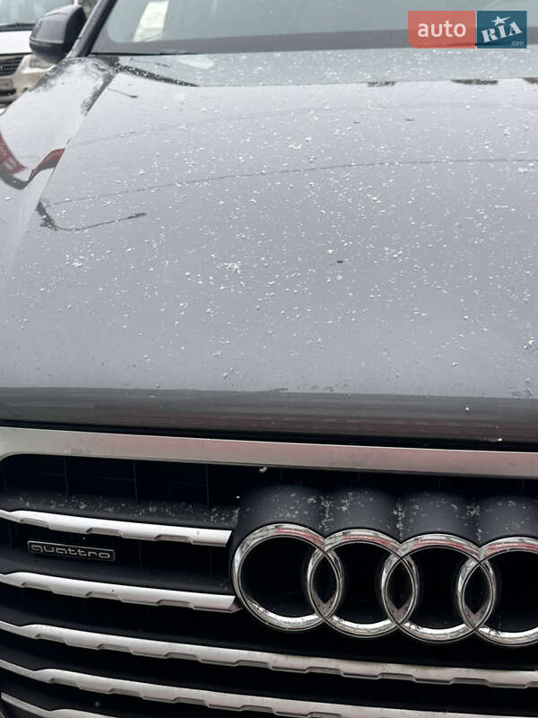 Внедорожник / Кроссовер Audi Q7 2017 в Киеве фото 14 Внедорожник / Кроссовер Audi Q7 2017 в Киеве