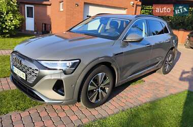 Внедорожник / Кроссовер Audi Q8 e-tron 2024 в 