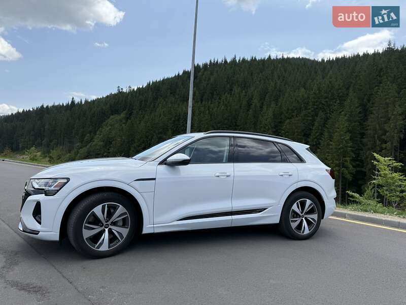 Внедорожник / Кроссовер Audi Q8 e-tron 2023 в Буковеле