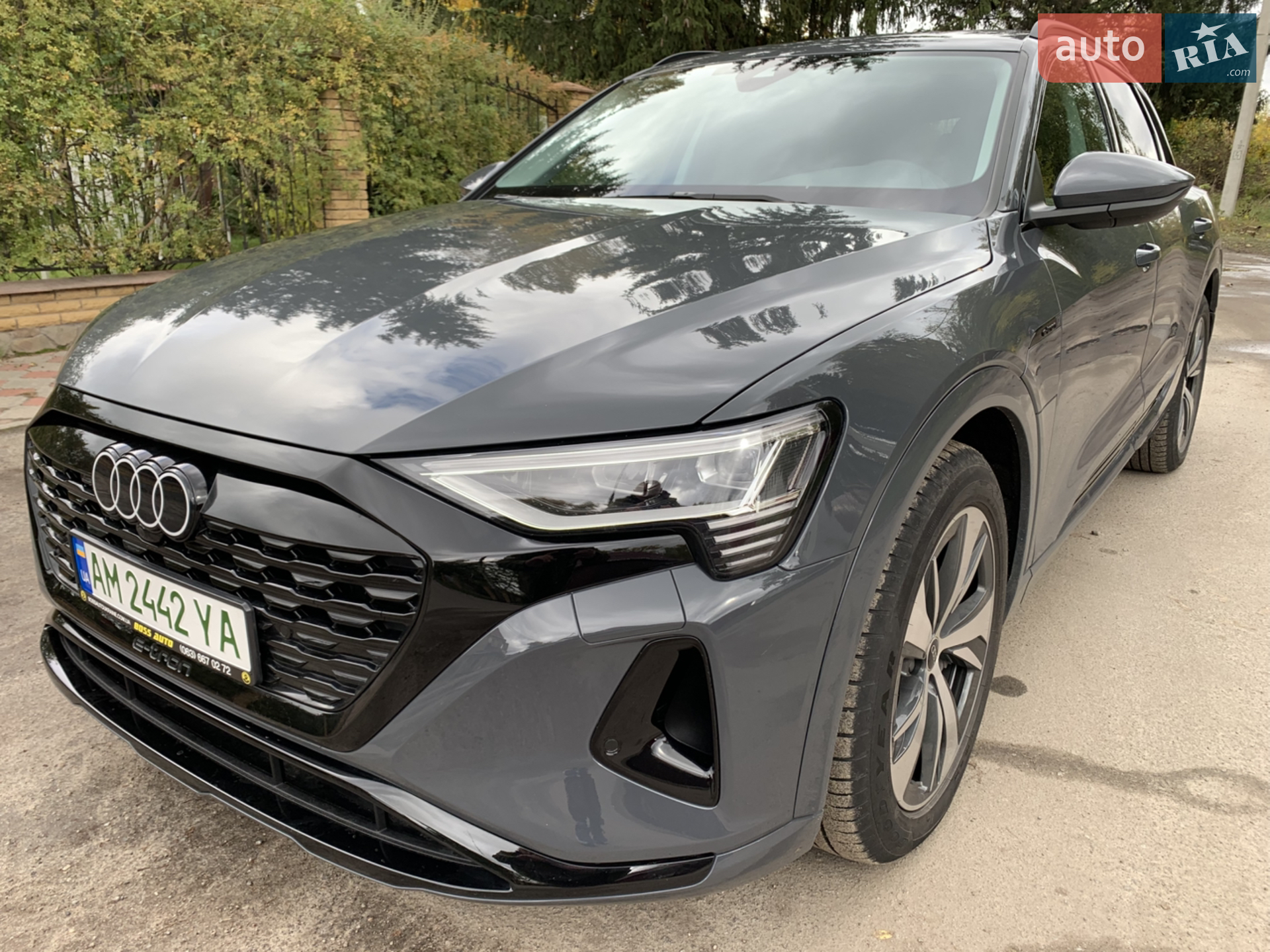 2024 Audi Q8 - фото 1