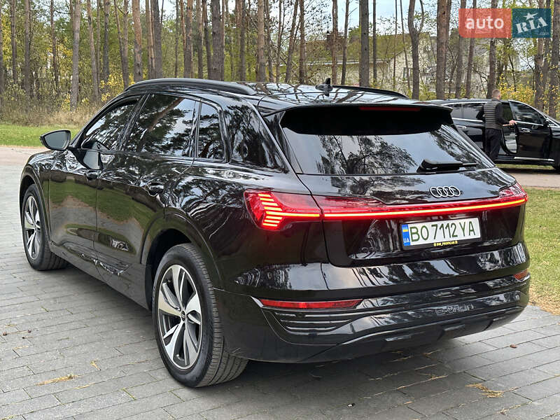 Внедорожник / Кроссовер Audi Q8 e-tron 2023 в Житомире фото 21 Внедорожник / Кроссовер Audi Q8 e-tron 2023 в Житомире