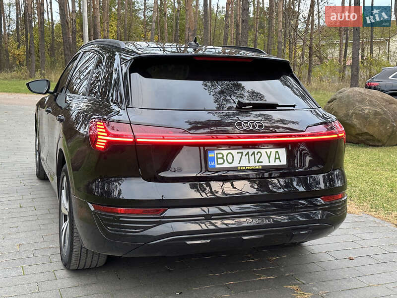 Внедорожник / Кроссовер Audi Q8 e-tron 2023 в Житомире фото 23 Внедорожник / Кроссовер Audi Q8 e-tron 2023 в Житомире