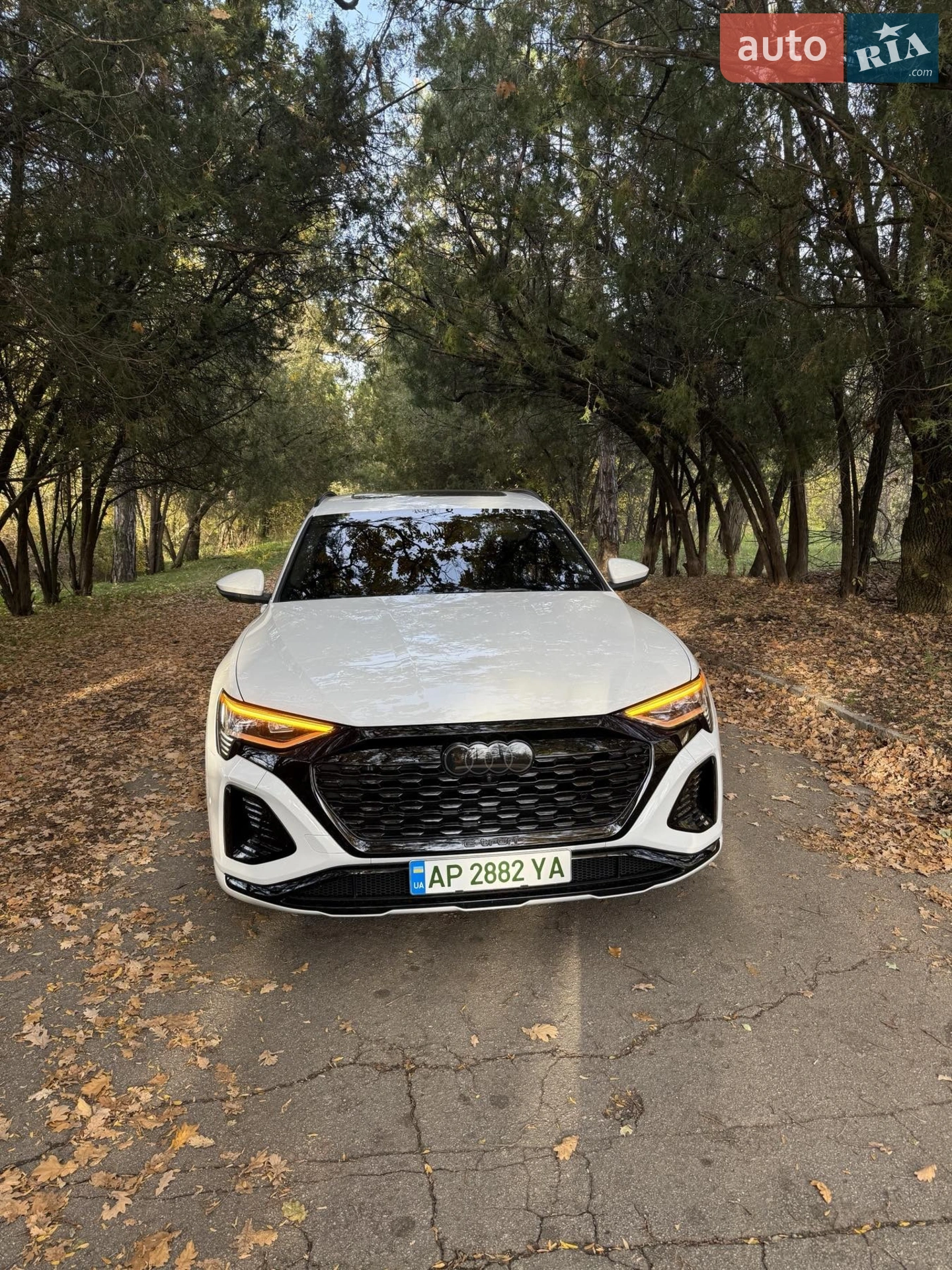 2023 Audi Q8 - мініатюра 3