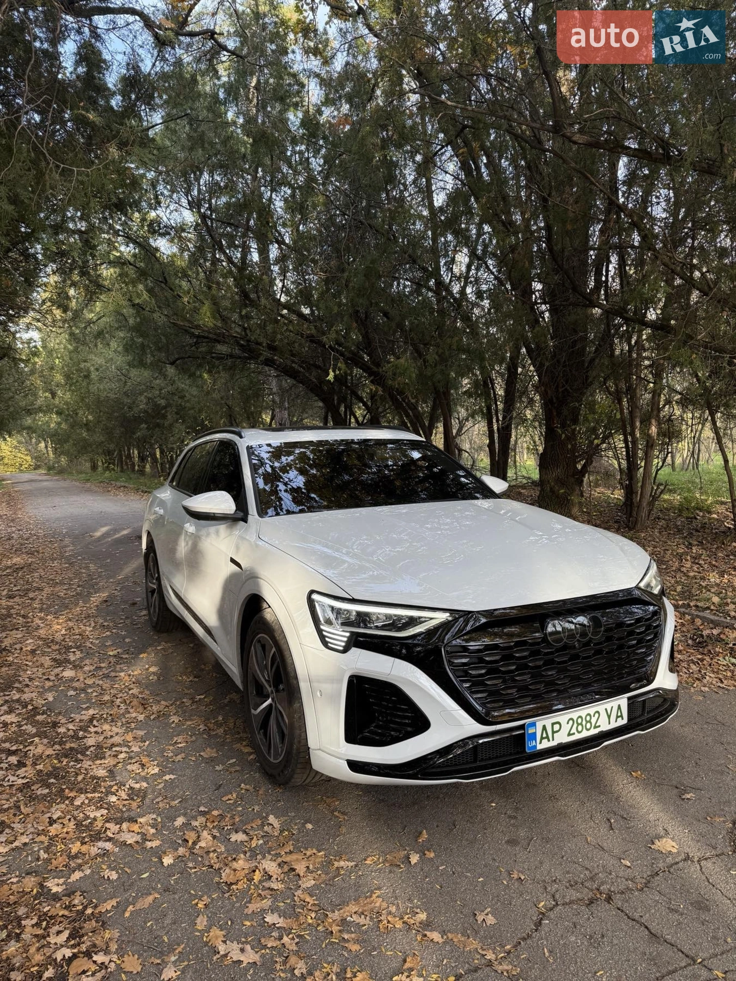 2023 Audi Q8 - фото 1
