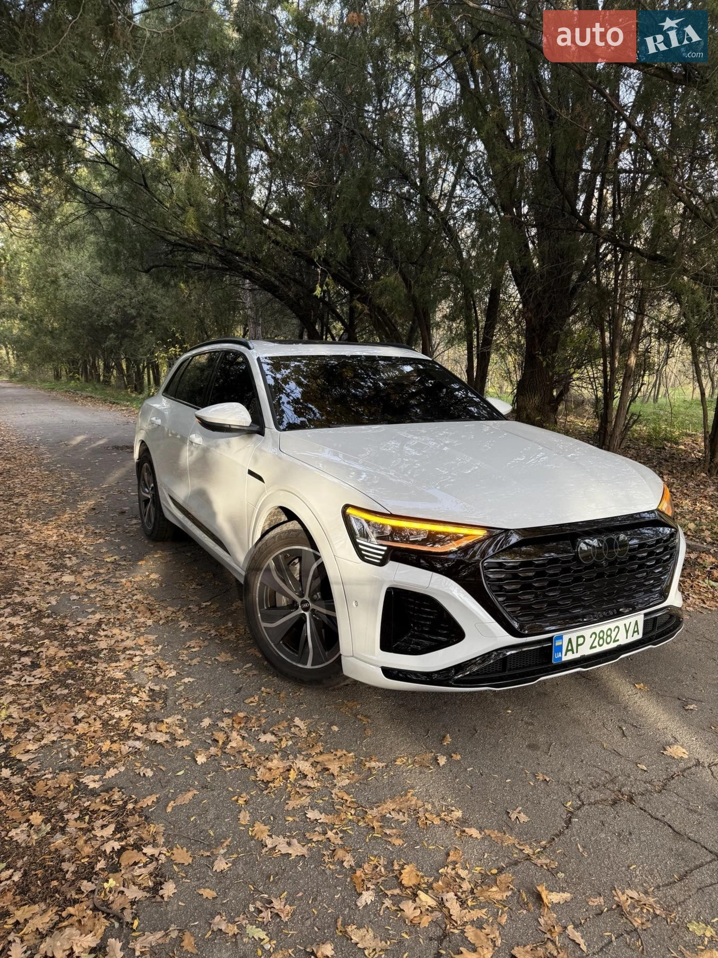 2023 Audi Q8 - мініатюра 4