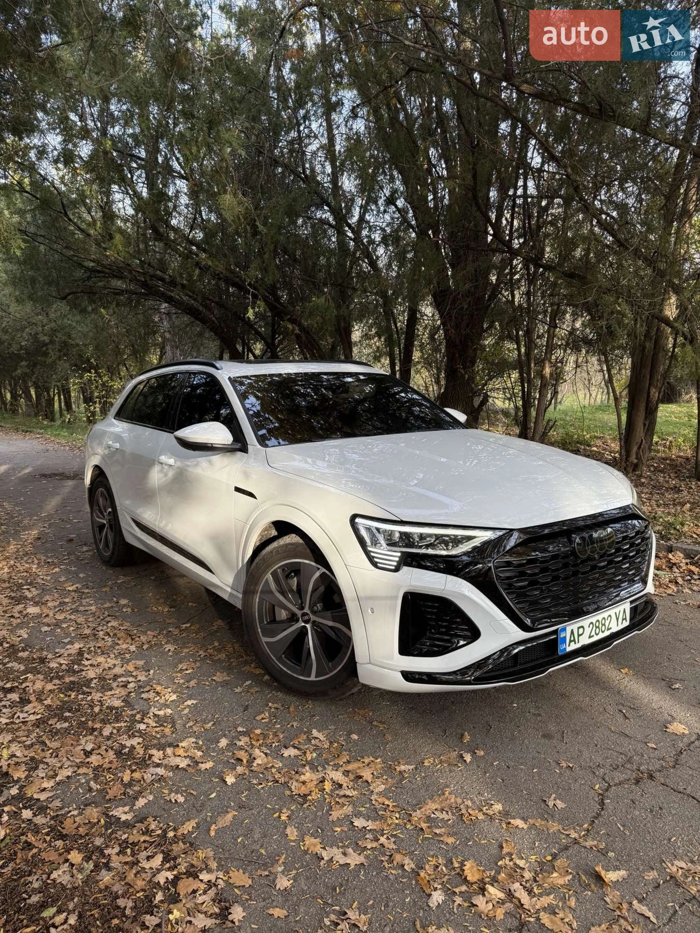 2023 Audi Q8 - мініатюра 5