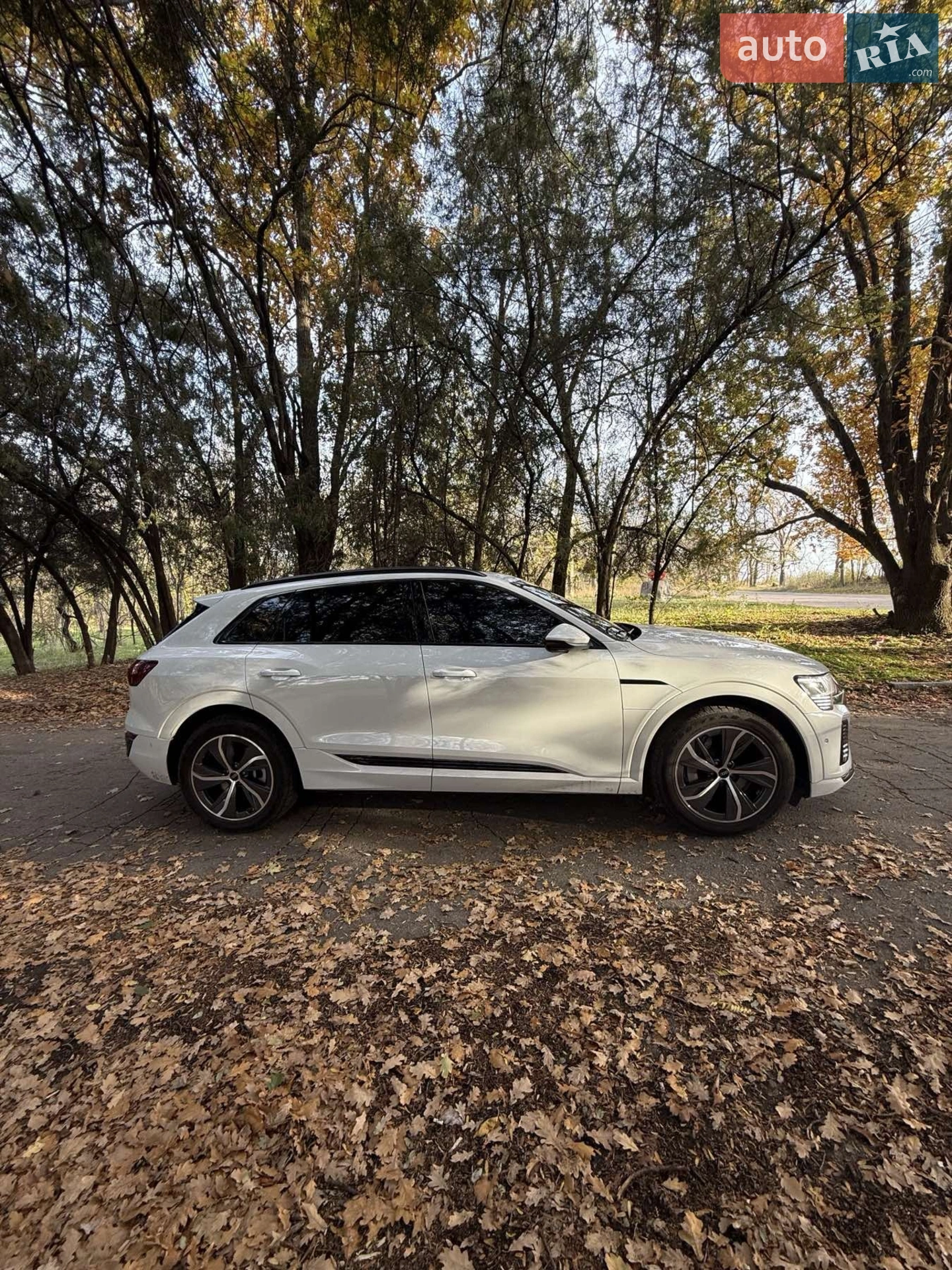 2023 Audi Q8 - мініатюра 6