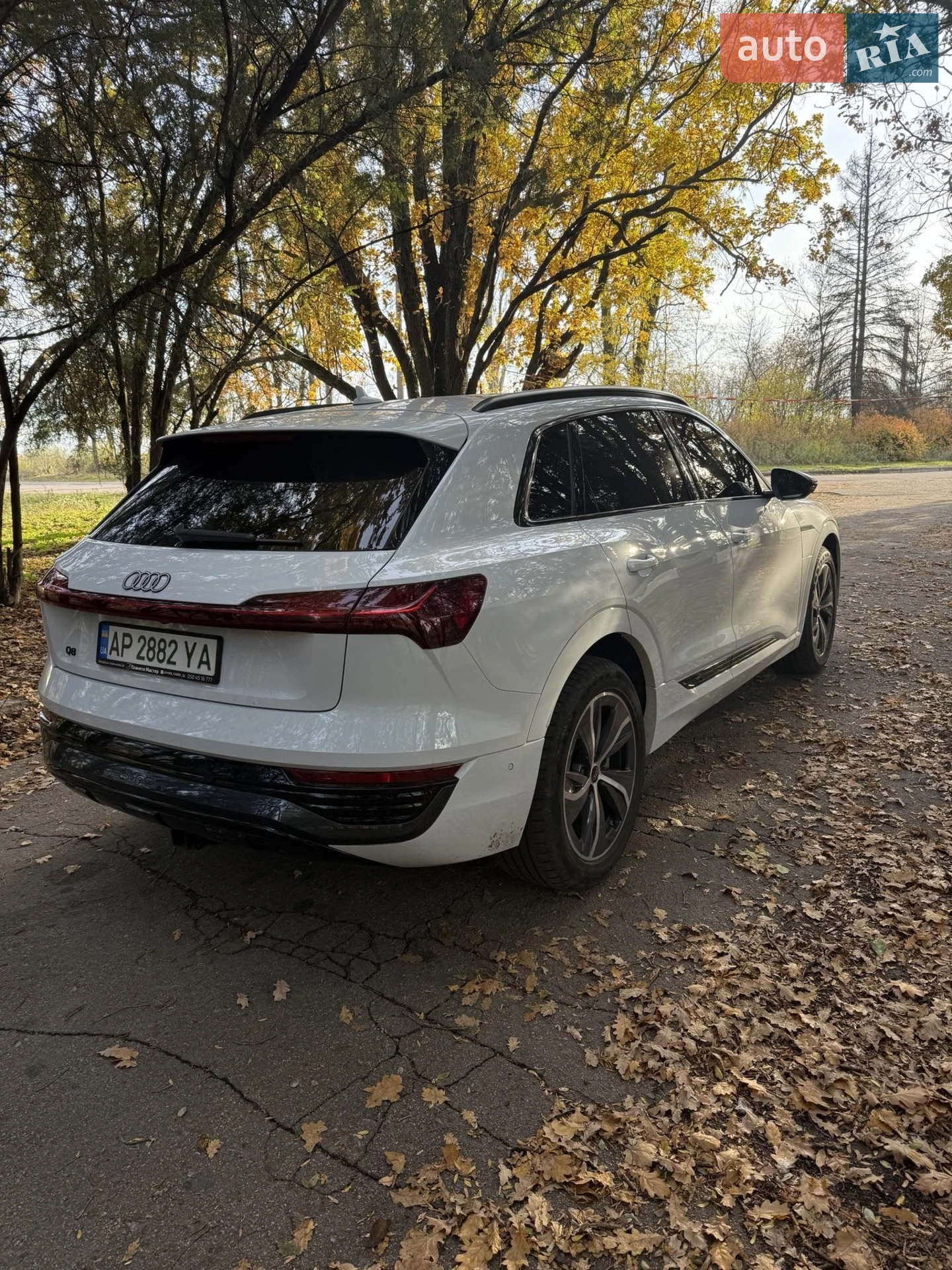 2023 Audi Q8 - мініатюра 8