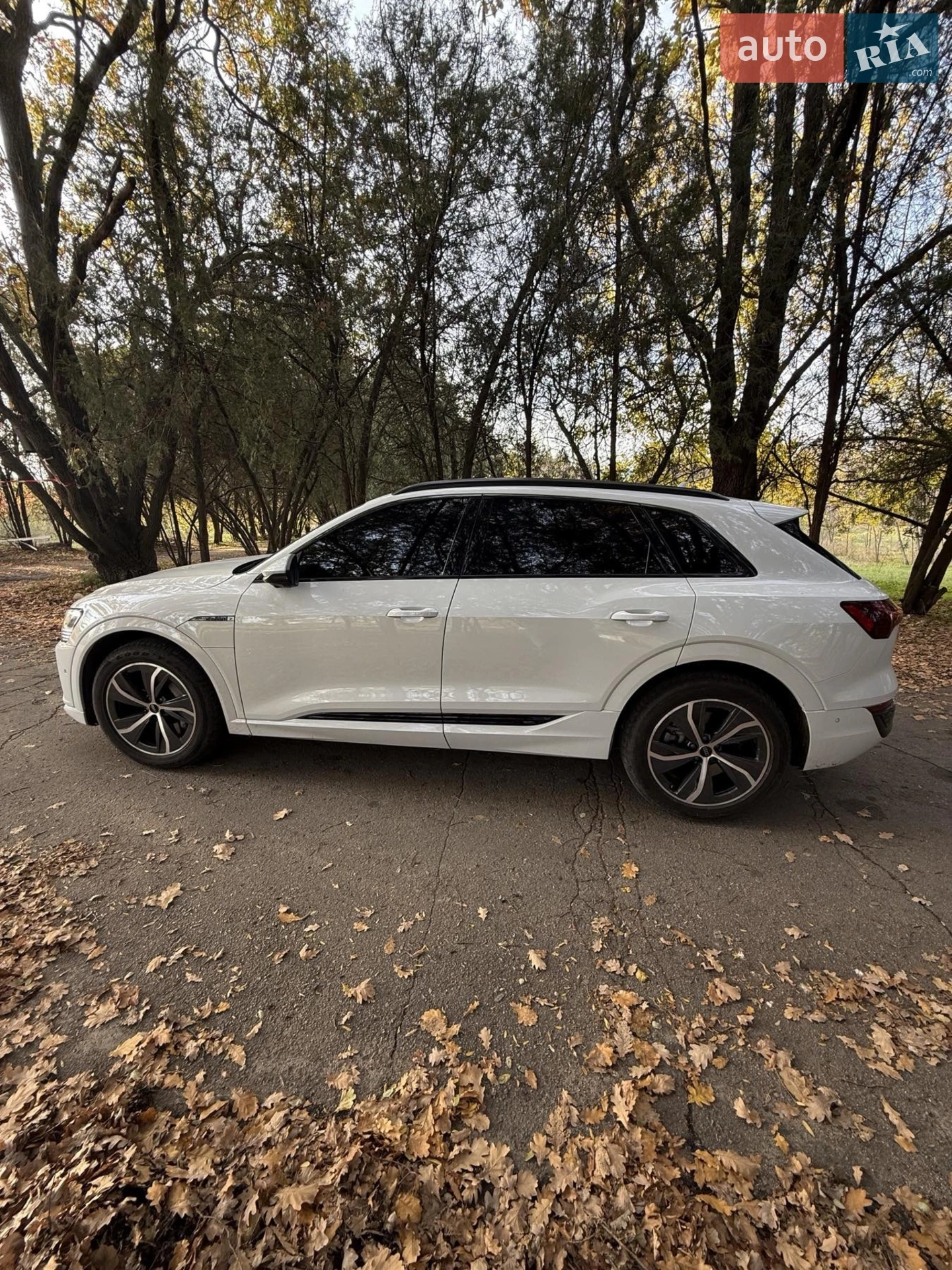 2023 Audi Q8 - мініатюра 12