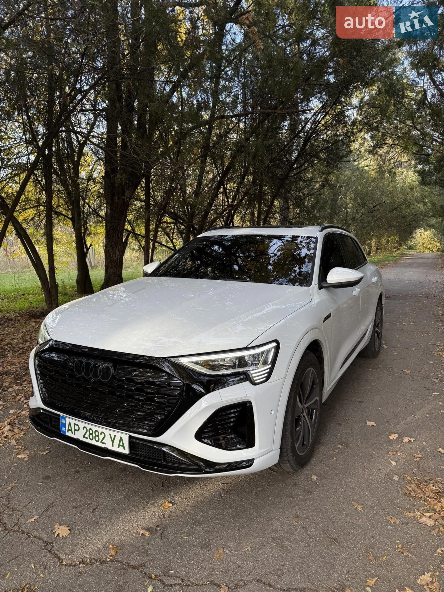 2023 Audi Q8 - мініатюра 13