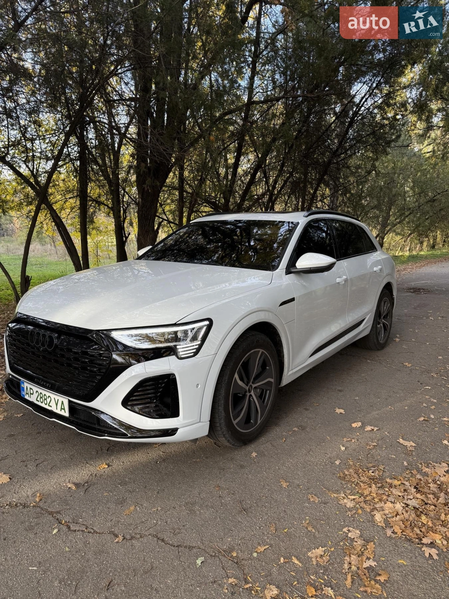 2023 Audi Q8 - мініатюра 14