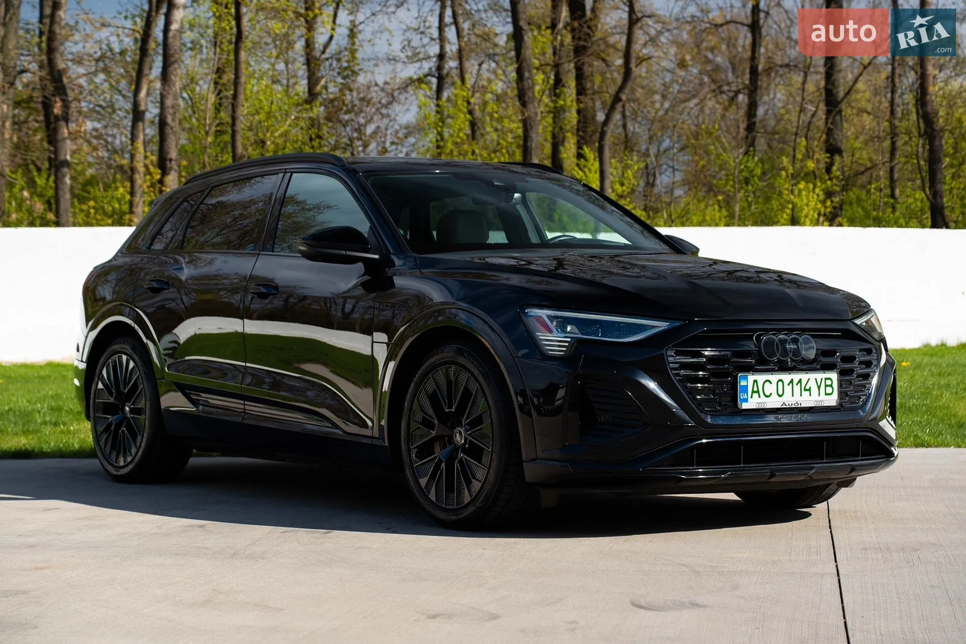 2024 Audi Q8 - мініатюра 2
