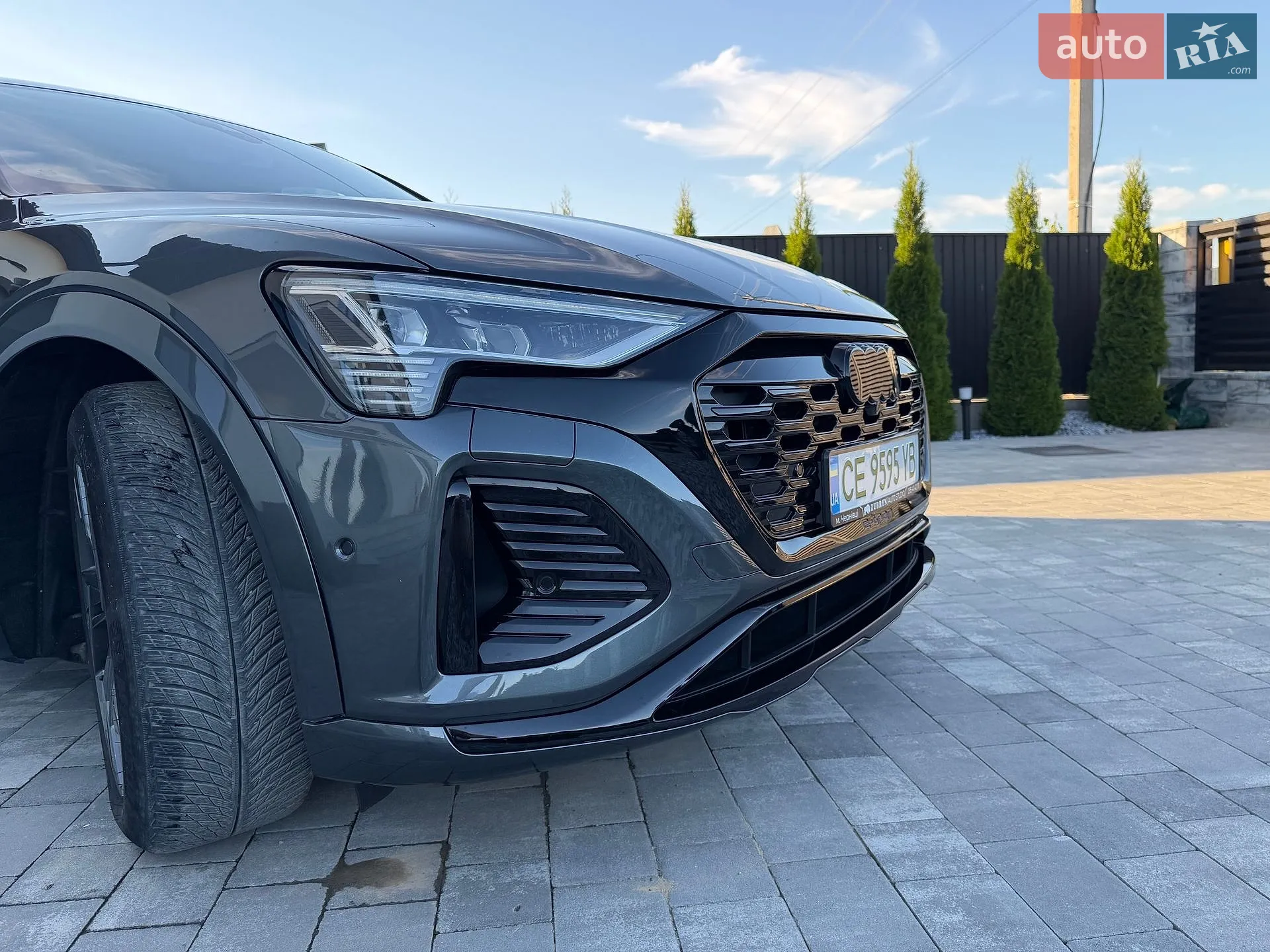 2023 Audi Q8 - мініатюра 100
