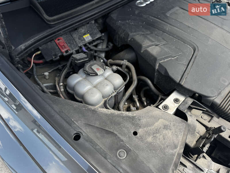 Внедорожник / Кроссовер Audi Q8 2020 в Житомире