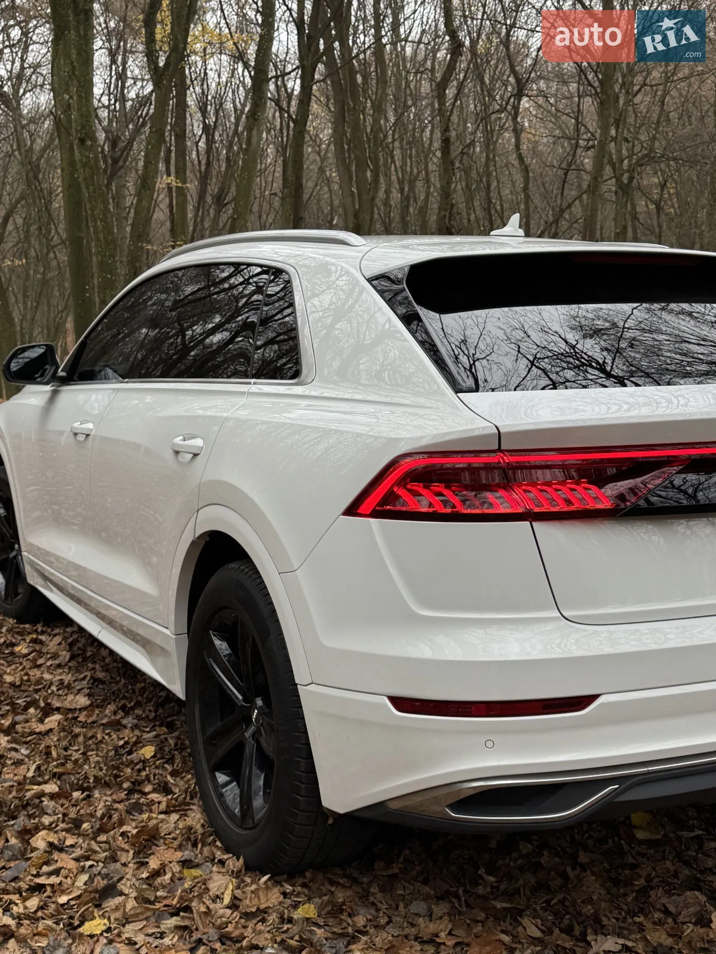 2018 Audi Q8 - мініатюра 6